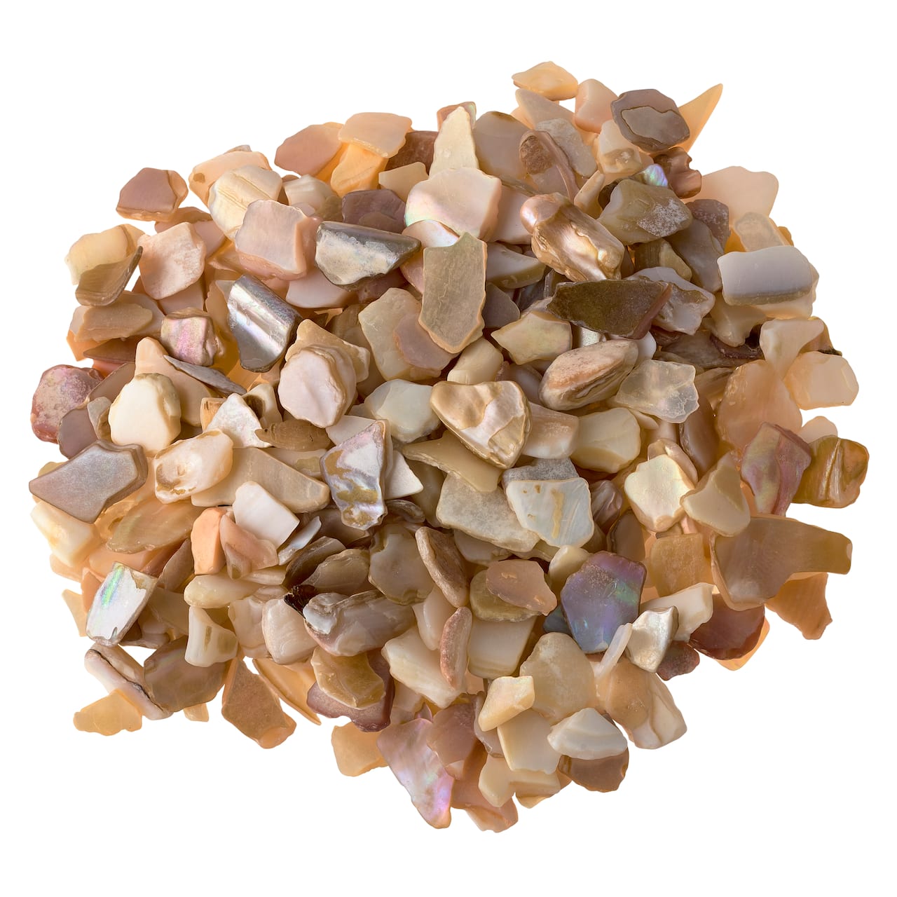 Natural Crushed Shells By Ashland&#x2122;